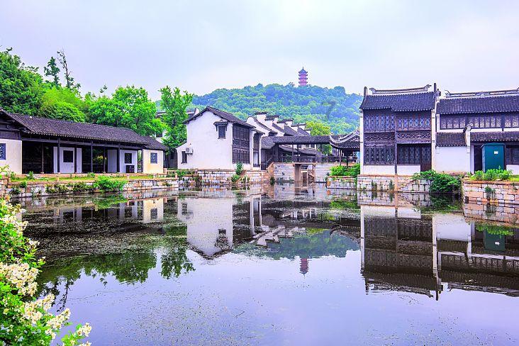 东方之珠“牵手”东方明珠谈沪港未来 李佳琦：虚实并进将是消费新趋势