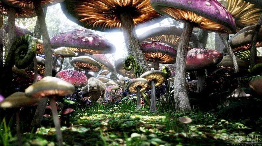 携手和自己的闺蜜一起生活到底有多开心?,共享知识乐园
